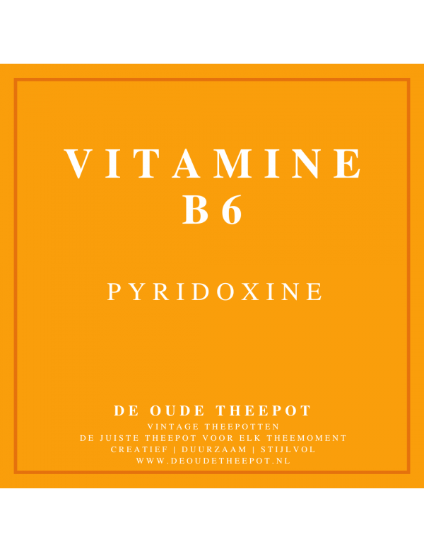 VTM007-VITAMINE-B6-PYRIDOXINE-VITAMINEN-FYTONUTRIËNTEN